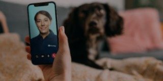 Dog and FirstVet app