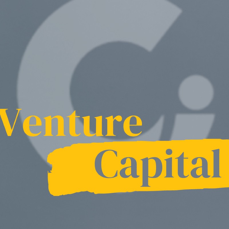 Understanding the Capital in Venture Capital